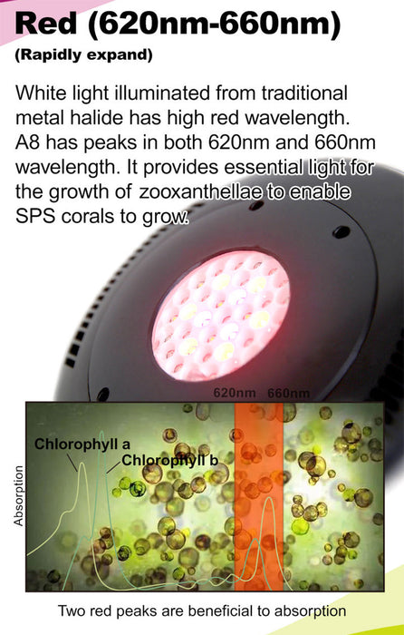 Aqua Dream Coral Reef LED Aquarium Light 90W A8 Programmable