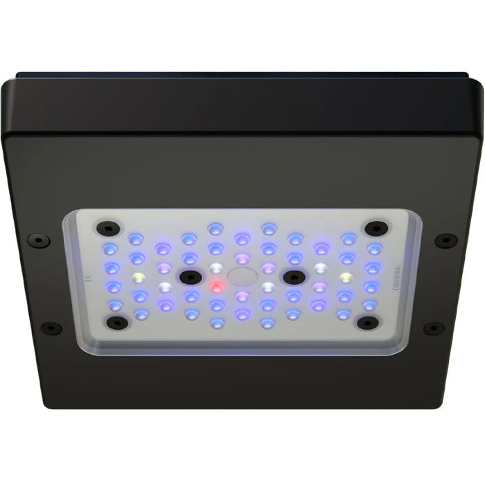 Radion G6 XR15 Blue LED Light | EcoTech Marine