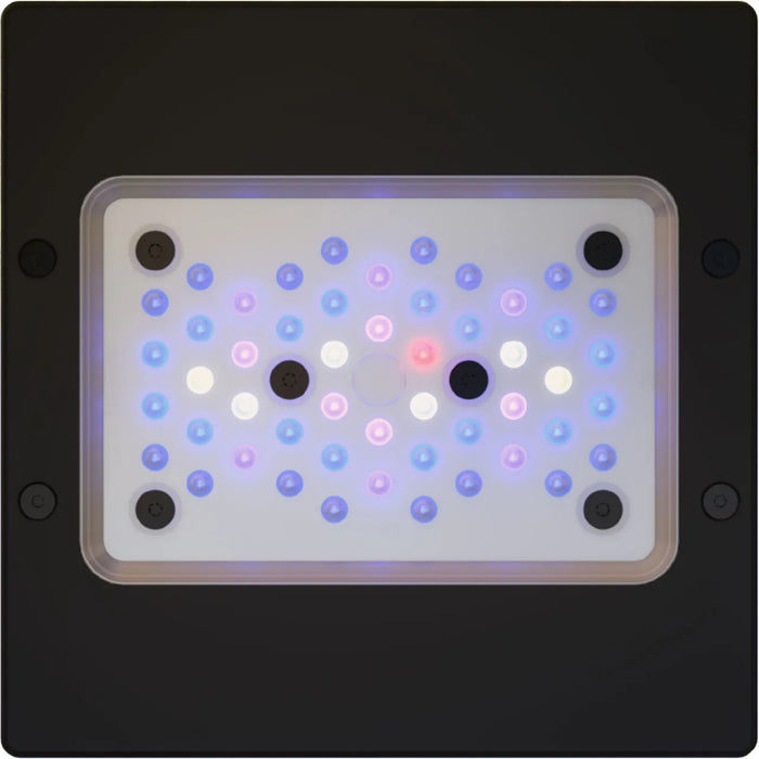 Radion G6 XR15 Blue LED Light | EcoTech Marine