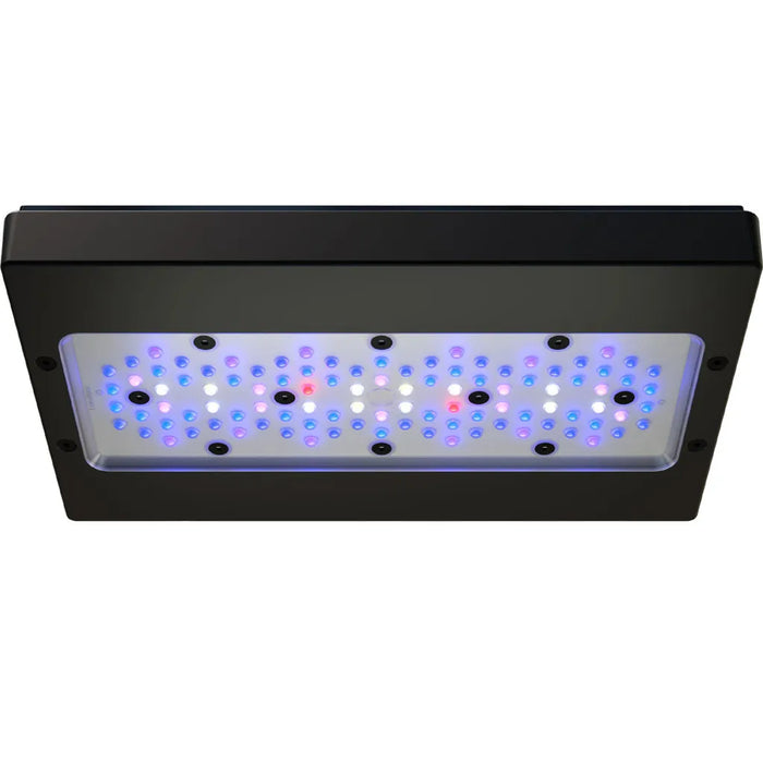 Radion G6 XR30 Blue LED Light | EcoTech Marine