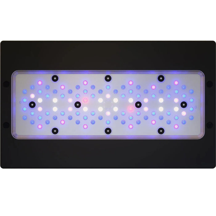 Radion G6 XR30 Blue LED Light | EcoTech Marine