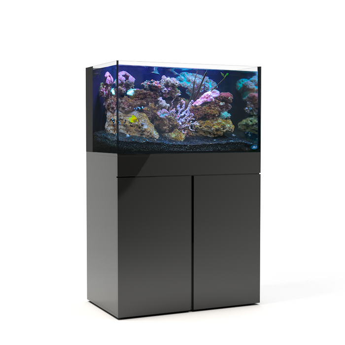 JBJ 65 Gallon Rimless Flat Panel Aquarium & Stand