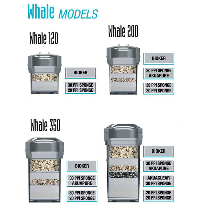 Sicce Whale Canister Filter (All Models)