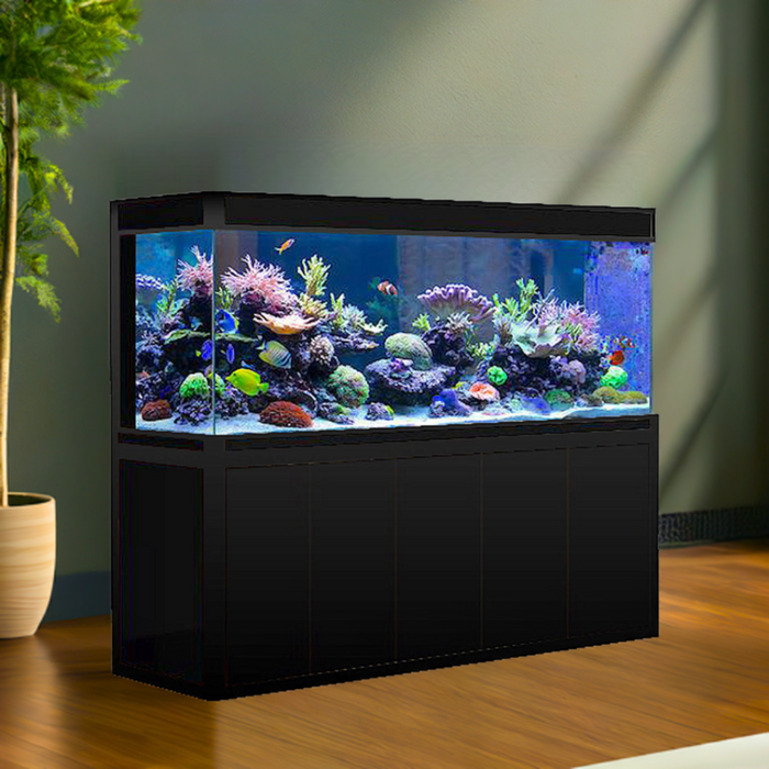 Aqua Dream 260 Gallon Tempered Glass Aquarium (w/ Stand & Sump)