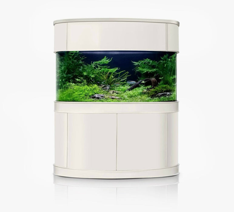 AQUA VIM Glass Bowfront Aquarium