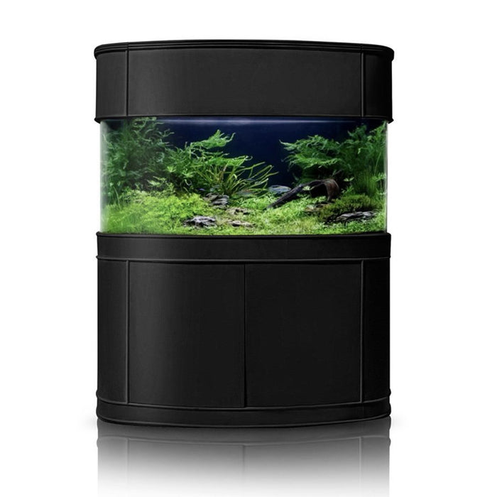 AQUA VIM Glass Bowfront Aquarium